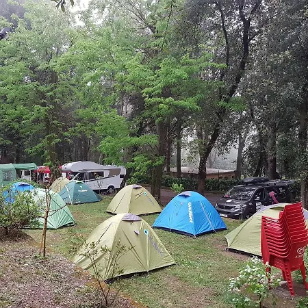 Parco vacanze Villaggio Camping S Elia *