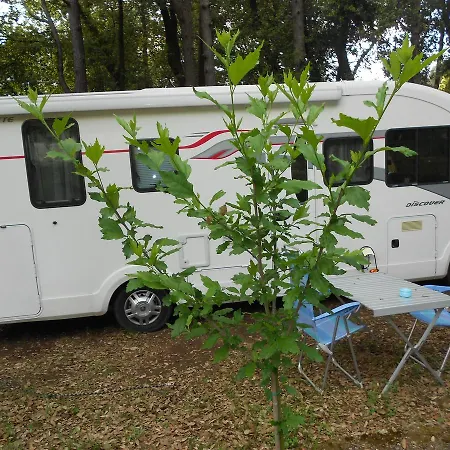 Parco vacanze Villaggio Camping S Elia Palmi