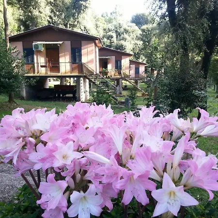 Villaggio Camping S Elia Parco vacanze Palmi
